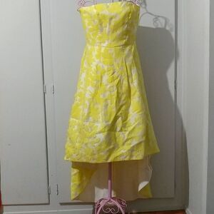 Beautiful Silk Dress